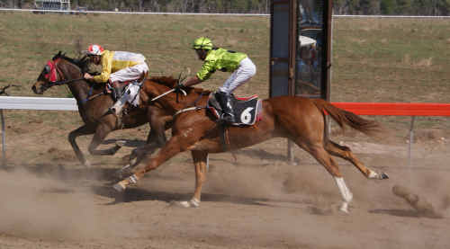Dust flies at the Twin Hills race meet at the weekend. Dust flies at the Twin Hills race meet at the weekend.